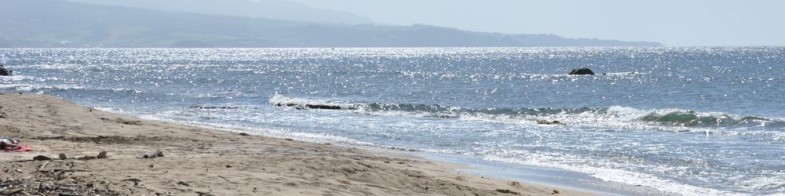 featuredimage1712121