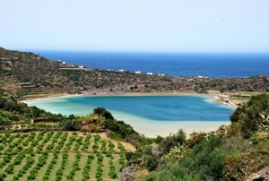 pantelleria229
